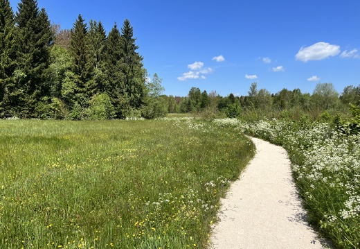 23-05-27 11-44-30 5729